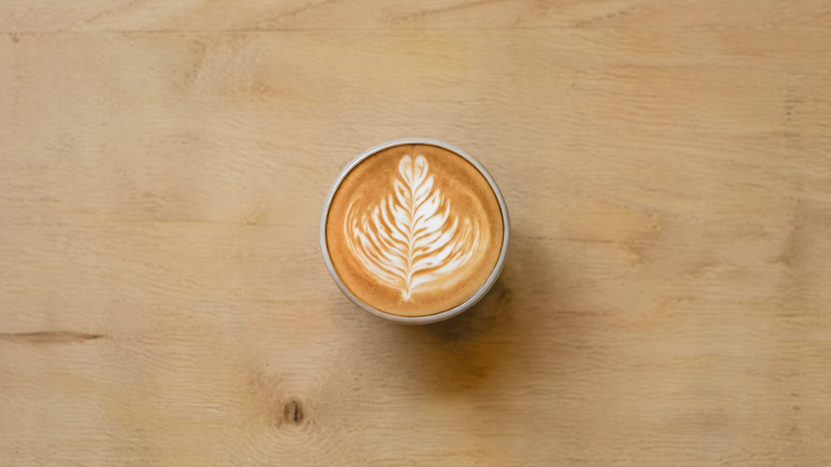 Vue de dessus d'une petite tasse tulipe remplie d'un flat white, la mousse dessinant une fine fougère blanche sur fond caramel.
